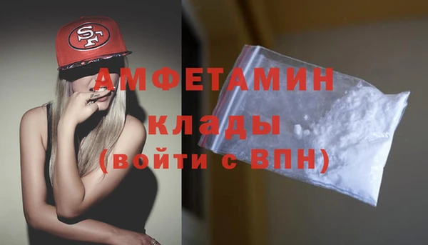 сатива Верея