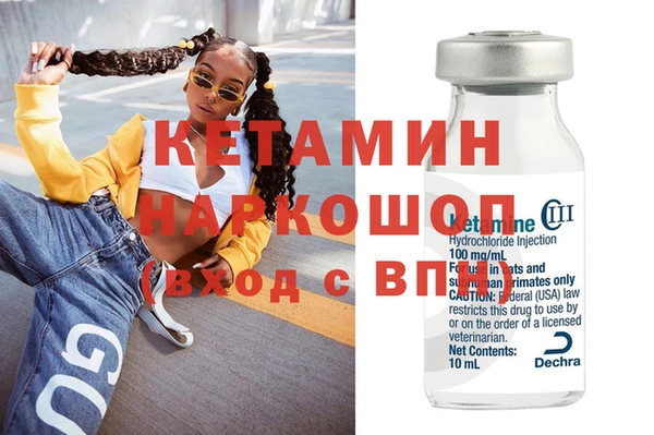 сатива Верея