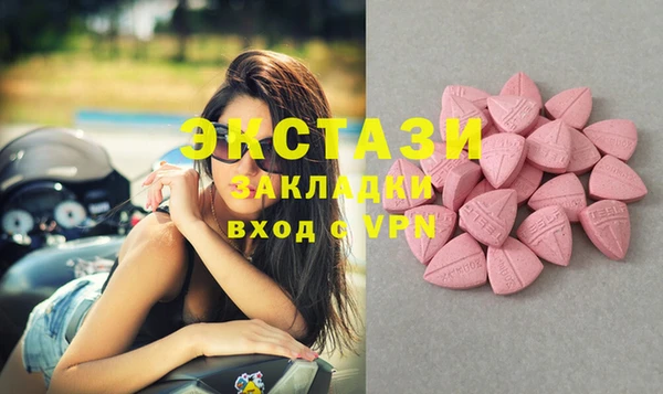 сатива Верея