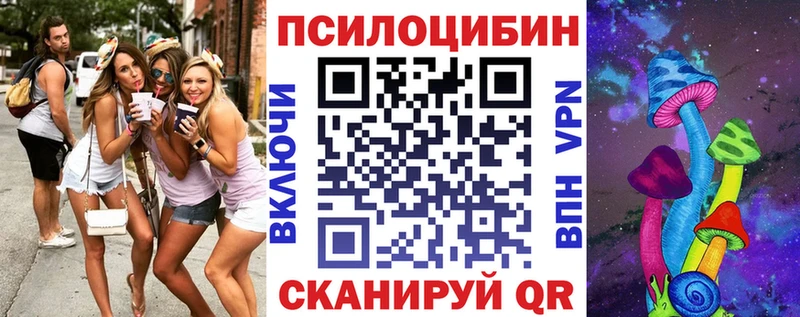 Псилоцибиновые грибы мухоморы  Купить закладки  Петровск 